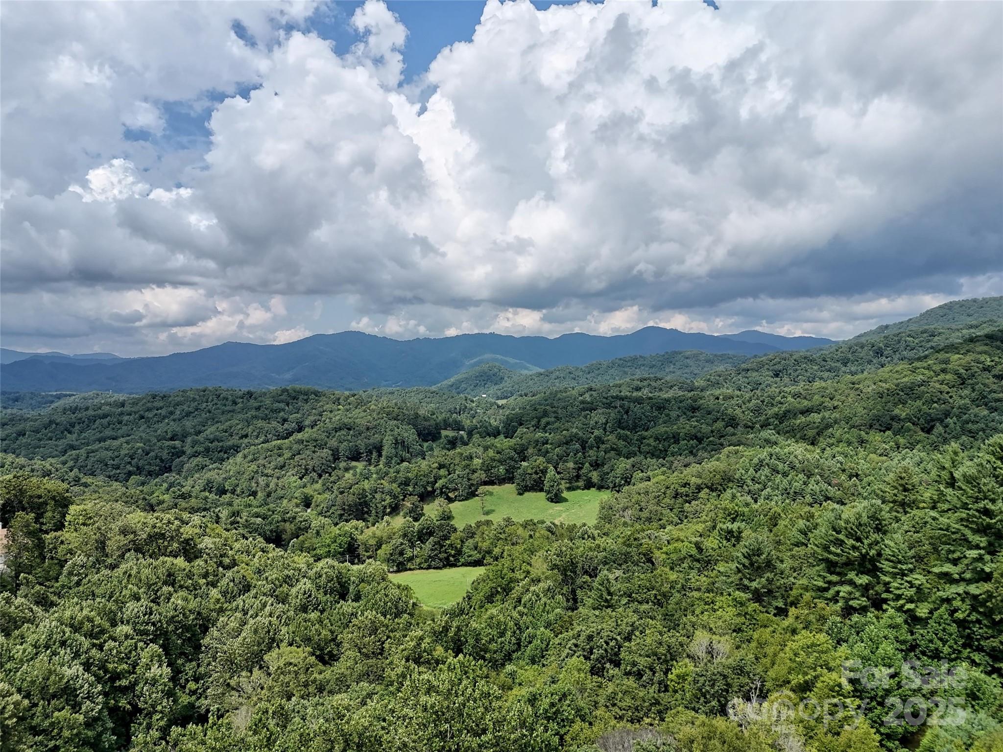 0 Rules Run Road Clyde, NC 28721 - Photo 5 of 6