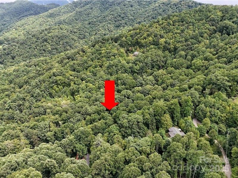 0 Rules Run Road Clyde, NC 28721 - Photo 6 of 6