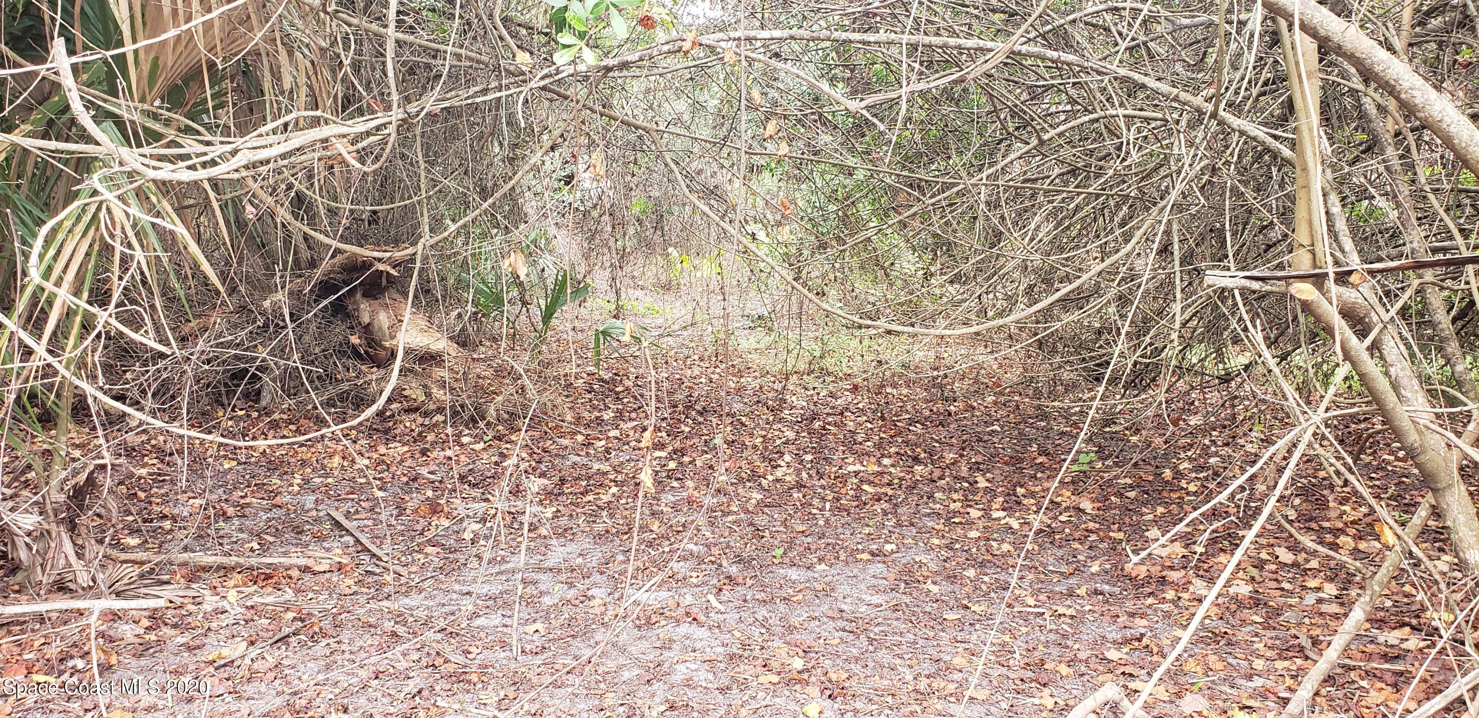 Tbd Davis Road Mims, FL 32754 - Photo 2 of 6 20210112_111155