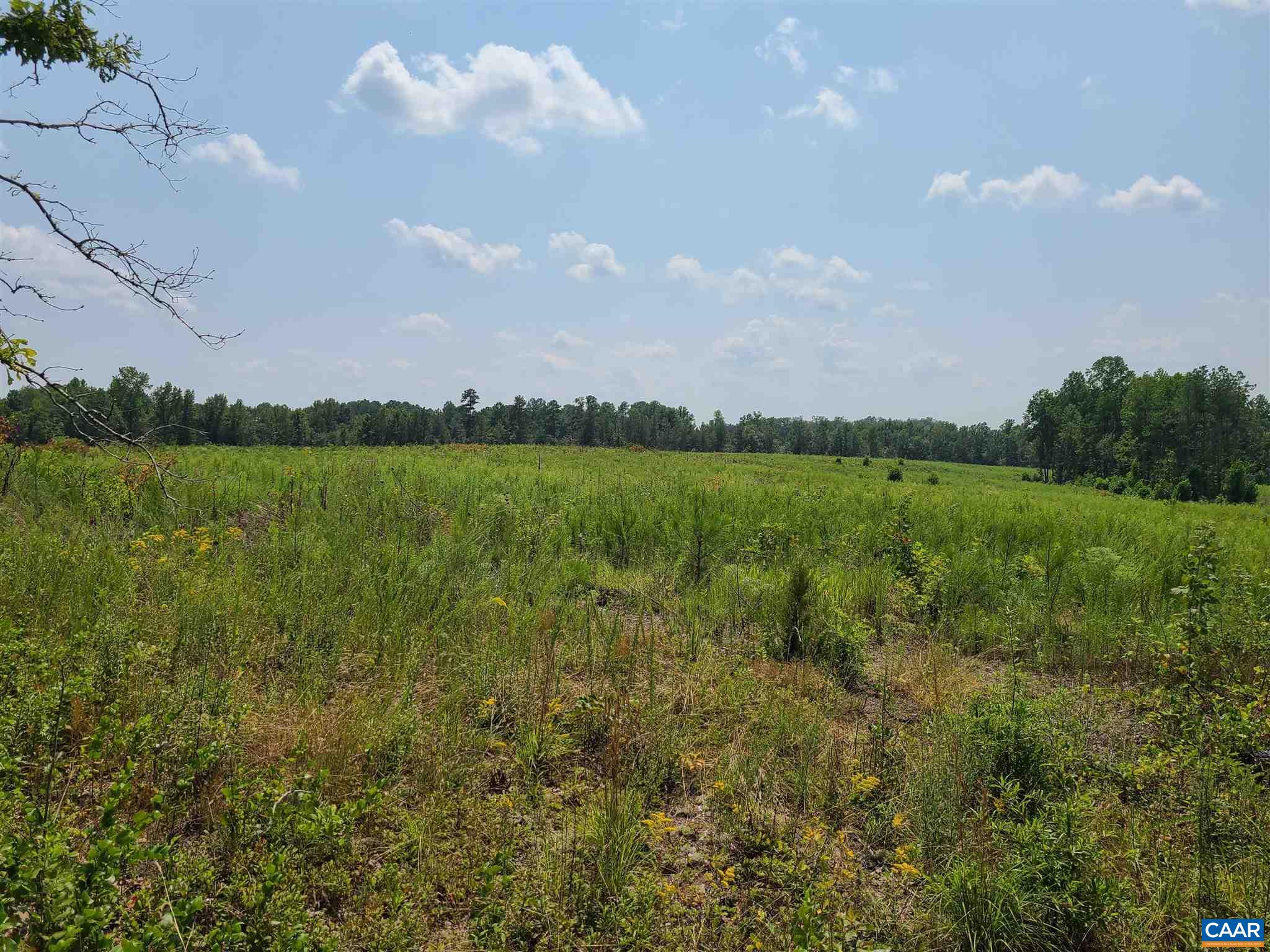 5 Evergreen Church Road Palmyra, VA 22963 - Photo 1 of 12 Gallery Image 1