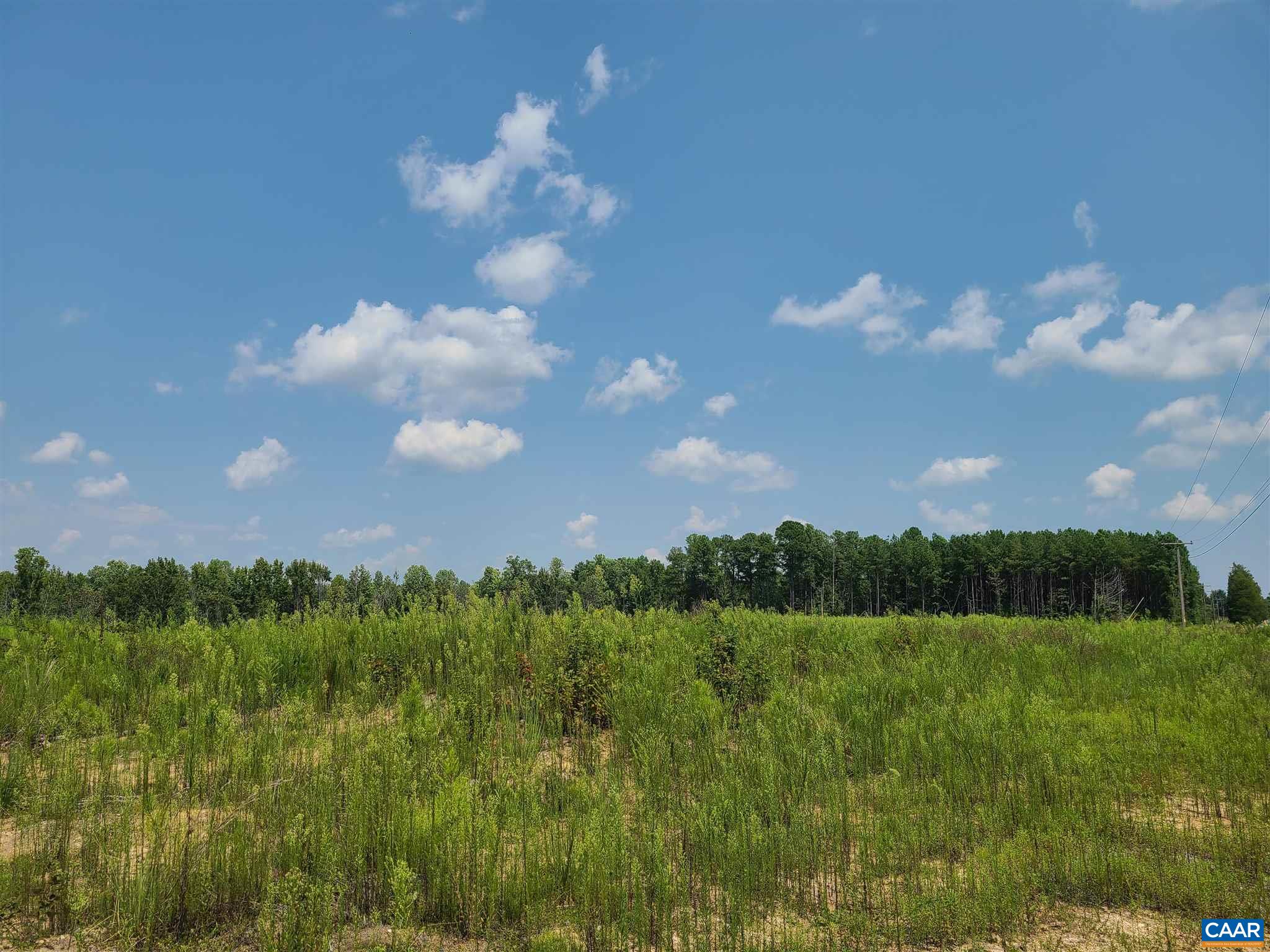5 Evergreen Church Road Palmyra, VA 22963 - Photo 6 of 12 Gallery Image 6