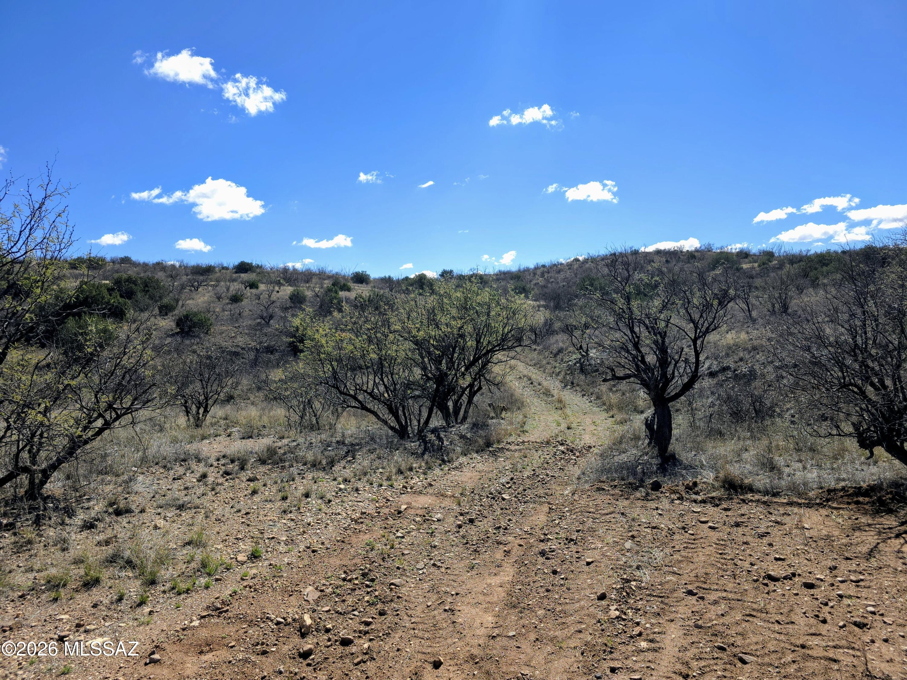 22200-blk South Red Cloud Mine Road South Vail, AZ 85641 - Photo 2 of 9