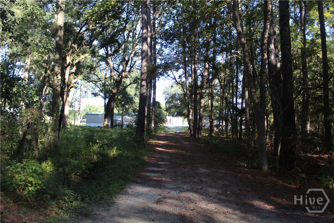 2525 Cartertown Road Richmond Hill, GA 31324 - Photo 3 of 17
