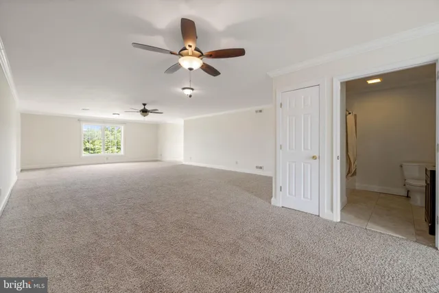 a view of a swimming pool with lounge chairs