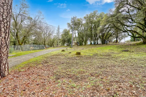 a view of a field with trees