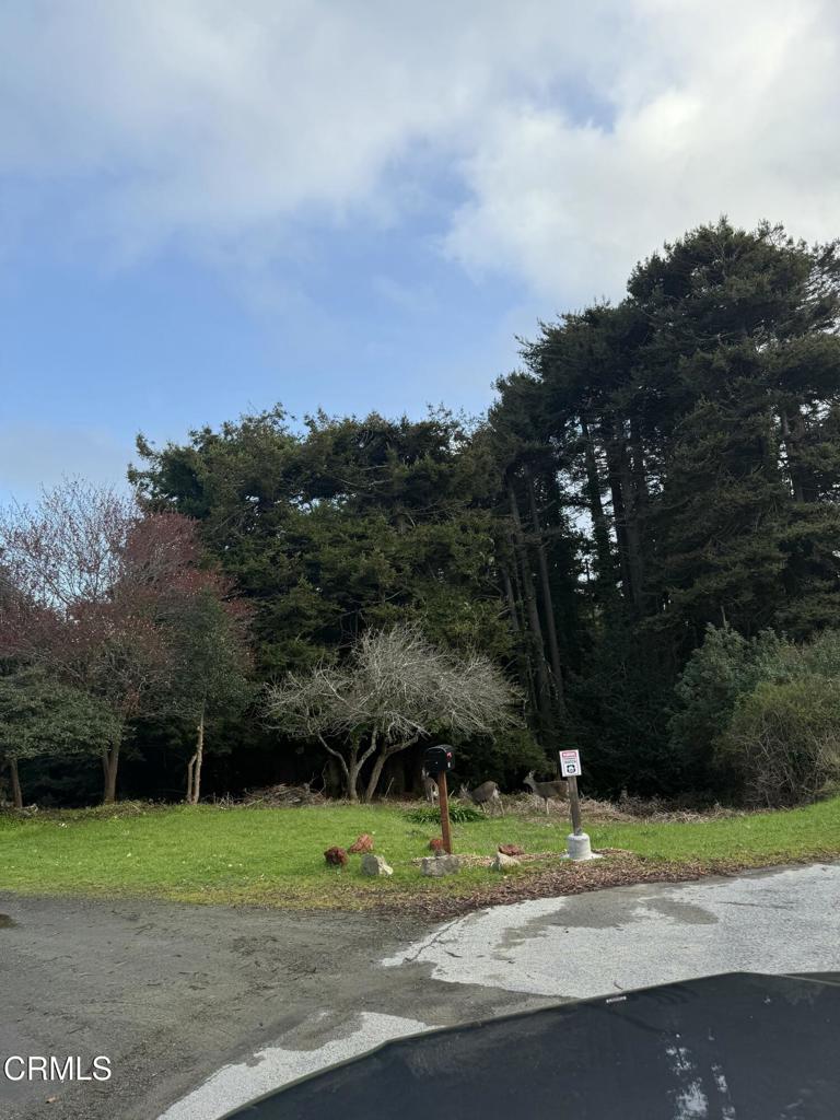 596 South Sanderson Way Fort Bragg, CA 95437 - Photo 47 of 67 tempImage6YoenN