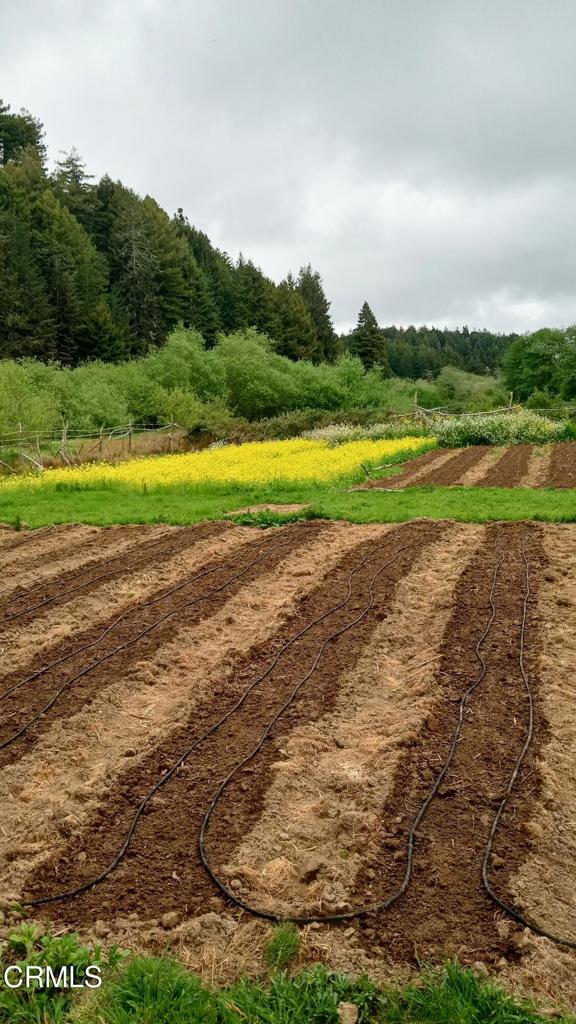 596 South Sanderson Way Fort Bragg, CA 95437 - Photo 5 of 67 tempImagenDDpSZ