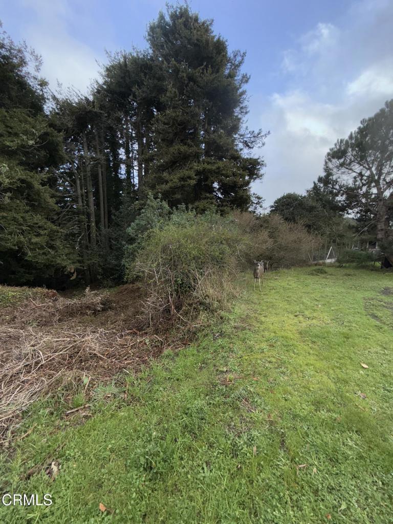 596 South Sanderson Way Fort Bragg, CA 95437 - Photo 55 of 67 tempImageBKxIIF