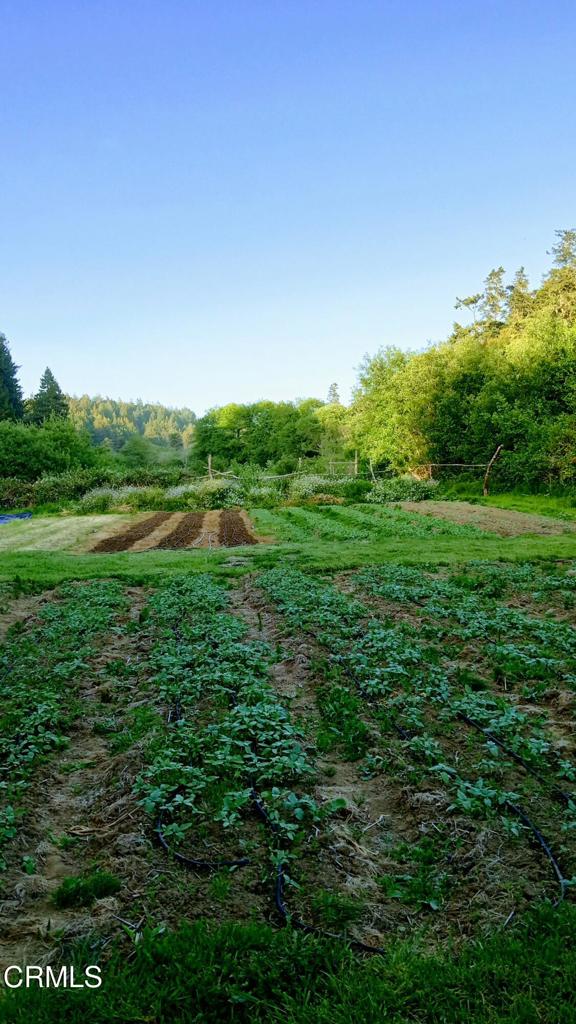 596 South Sanderson Way Fort Bragg, CA 95437 - Photo 6 of 67 tempImageV1fwno