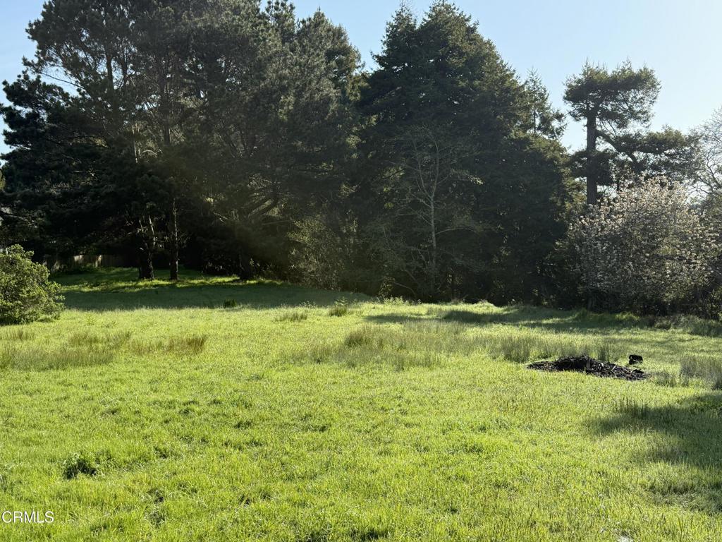 596 South Sanderson Way Fort Bragg, CA 95437 - Photo 65 of 67 tempImageipzHpK