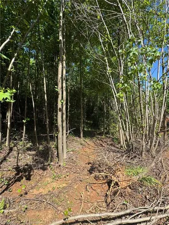 $60,000 | Lot 54 Billings Hill, Traphill, NC 28685