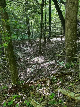 $60,000 | Lot 54 Billings Hill, Traphill, NC 28685