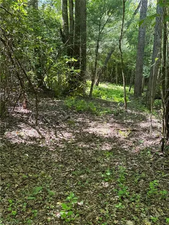 $60,000 | Lot 54 Billings Hill, Traphill, NC 28685