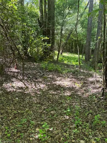 $70,000 | Lot 54 Billings Hill, Traphill, NC 28685