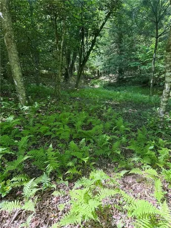$60,000 | Lot 54 Billings Hill, Traphill, NC 28685