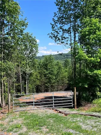 $60,000 | Lot 54 Billings Hill, Traphill, NC 28685