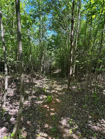 $60,000 | Lot 54 Billings Hill, Traphill, NC 28685