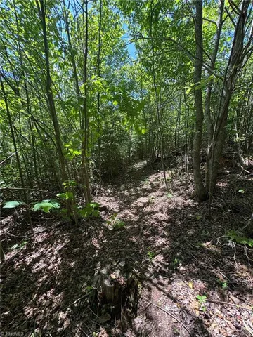 $70,000 | Lot 54 Billings Hill, Traphill, NC 28685