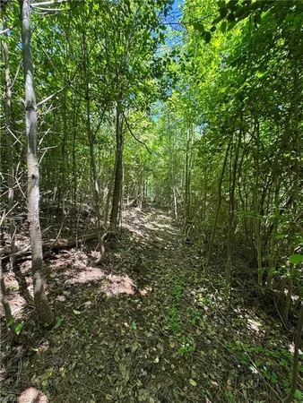 $60,000 | Lot 54 Billings Hill, Traphill, NC 28685