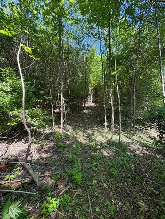 $60,000 | Lot 54 Billings Hill, Traphill, NC 28685