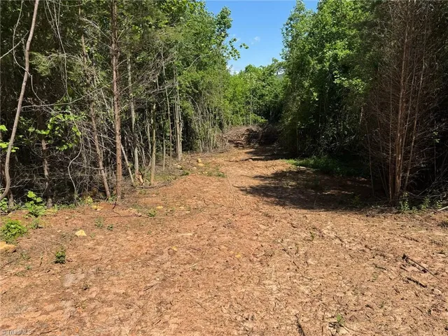 $70,000 | Lot 54 Billings Hill, Traphill, NC 28685