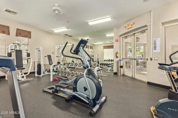 a park view with palm trees