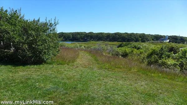 a view of lake with green space