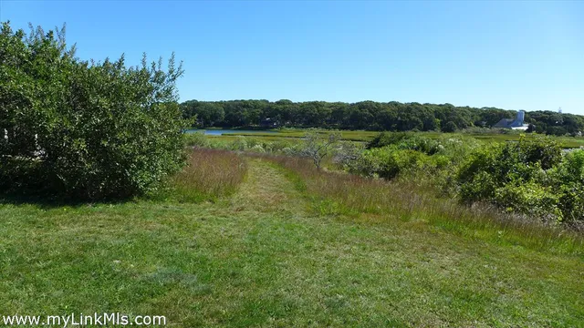a view of lake with green space