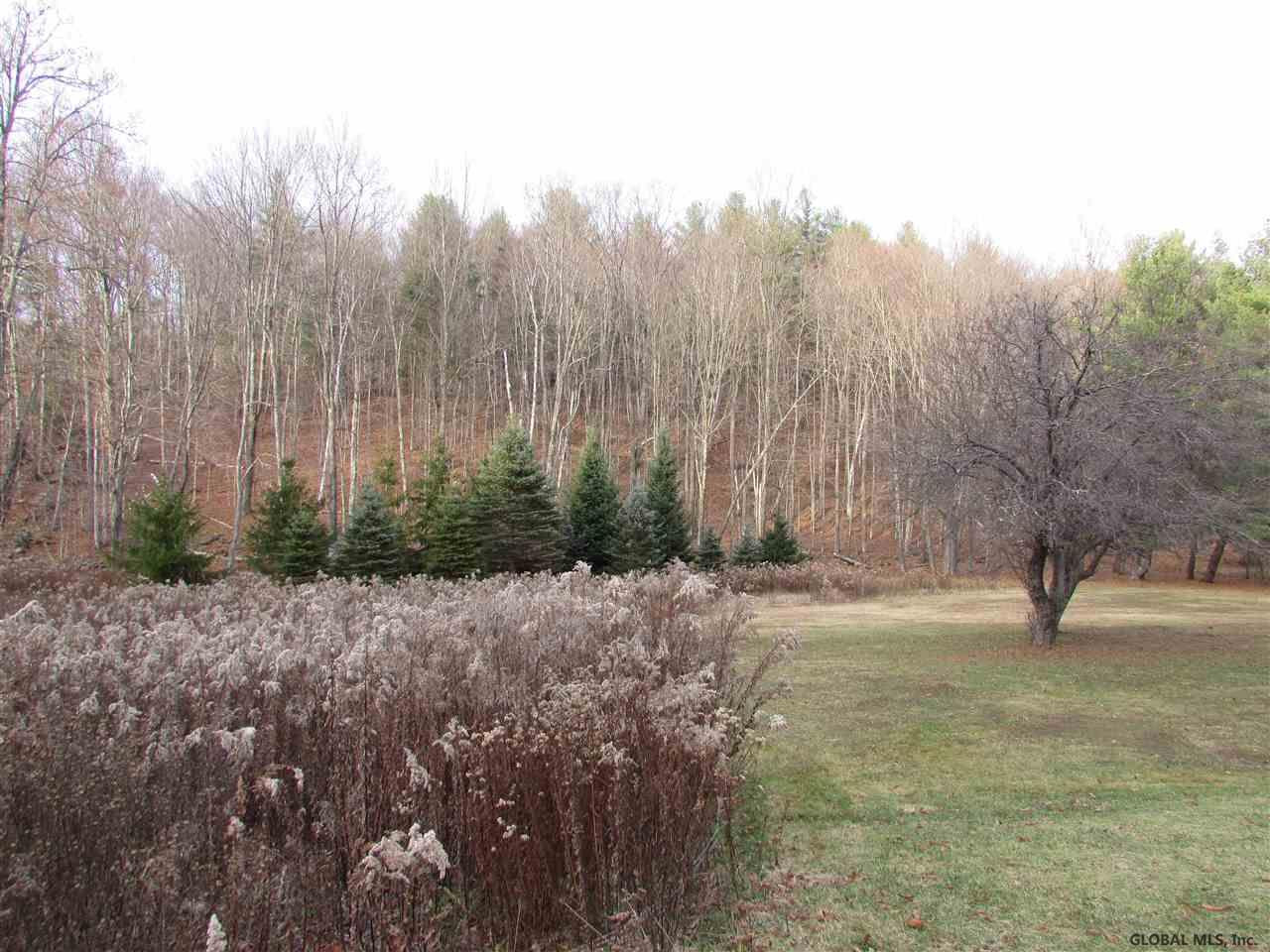 260 Kniskern Road Middleburgh, NY 12122 - Photo 18 of 19 Photo 18