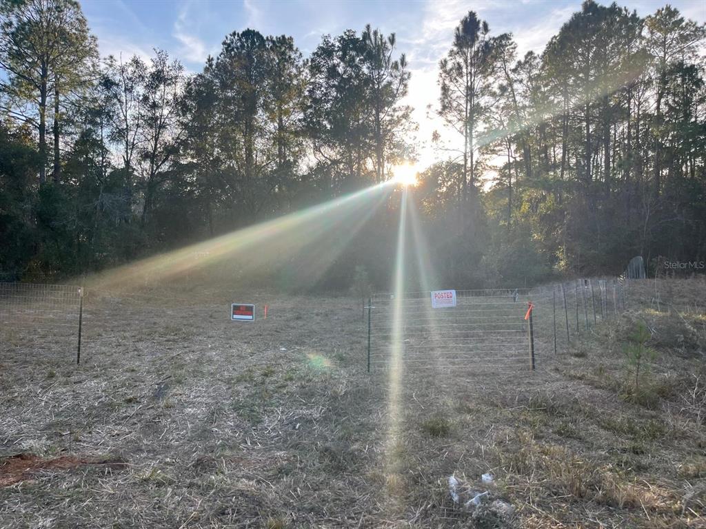 307 Mallard Road Satsuma, FL 32189 - Photo 1 of 1 Gallery Image 1