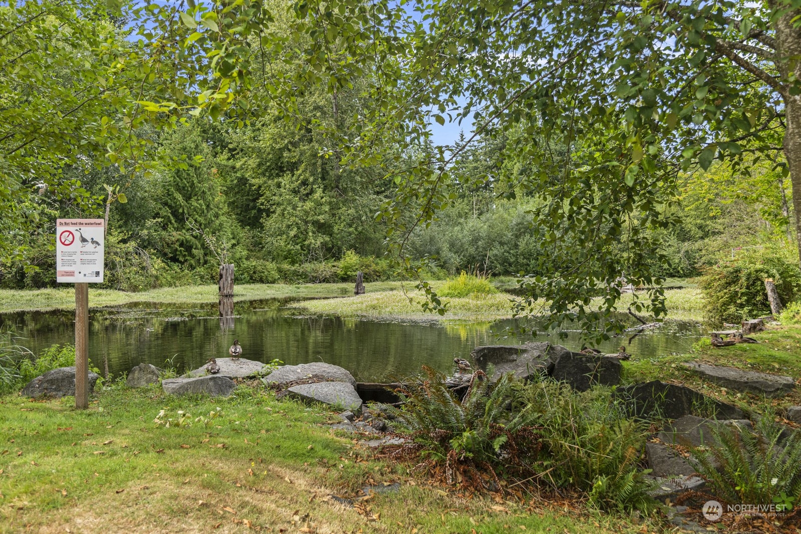 2103 Timber Trail Bothell, WA 98012 - Photo 38 of 40 a view of a lake with a building in front of it