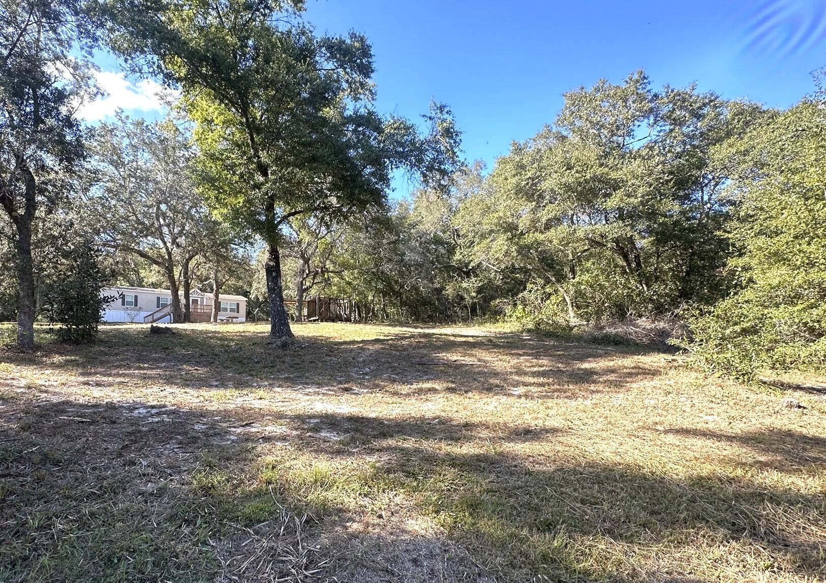 8550 Noah Hurst Road Navarre, FL 32566 - Photo 23 of 31 22. Yard Front