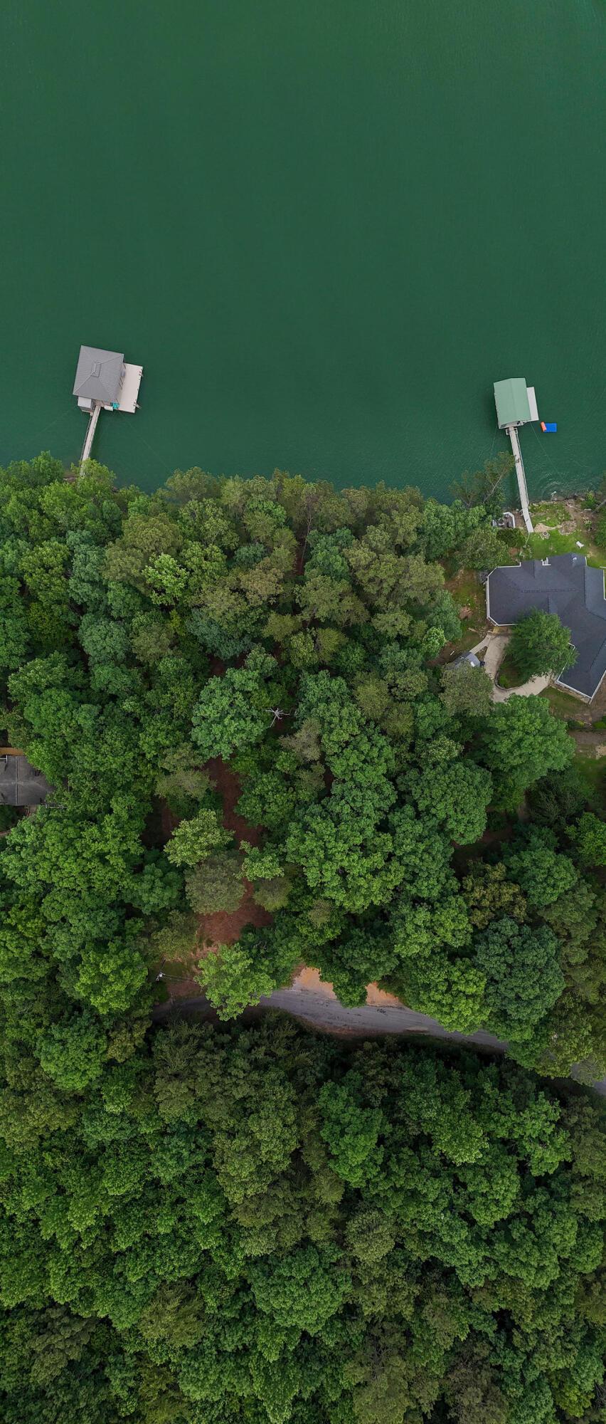 11 Dismal Road Arley, AL 35541 - Photo 17 of 18 Gallery Image 17