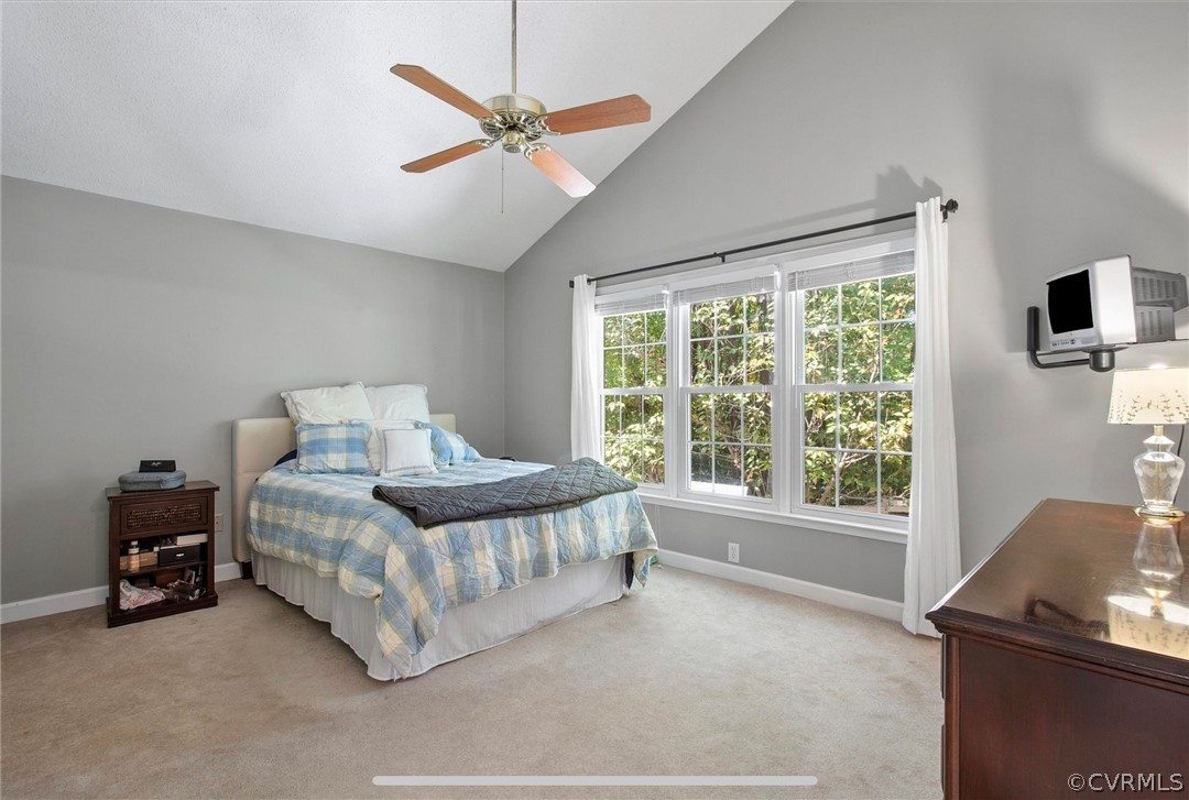 2804 Cove Ridge Road Midlothian, VA 23112 - Photo 18 of 28