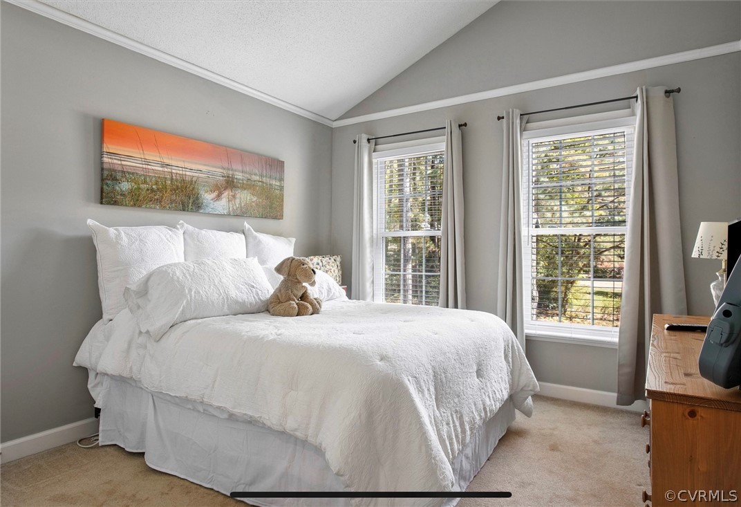 2804 Cove Ridge Road Midlothian, VA 23112 - Photo 22 of 28 a bedroom with a bed and a flat tv screen next to a window