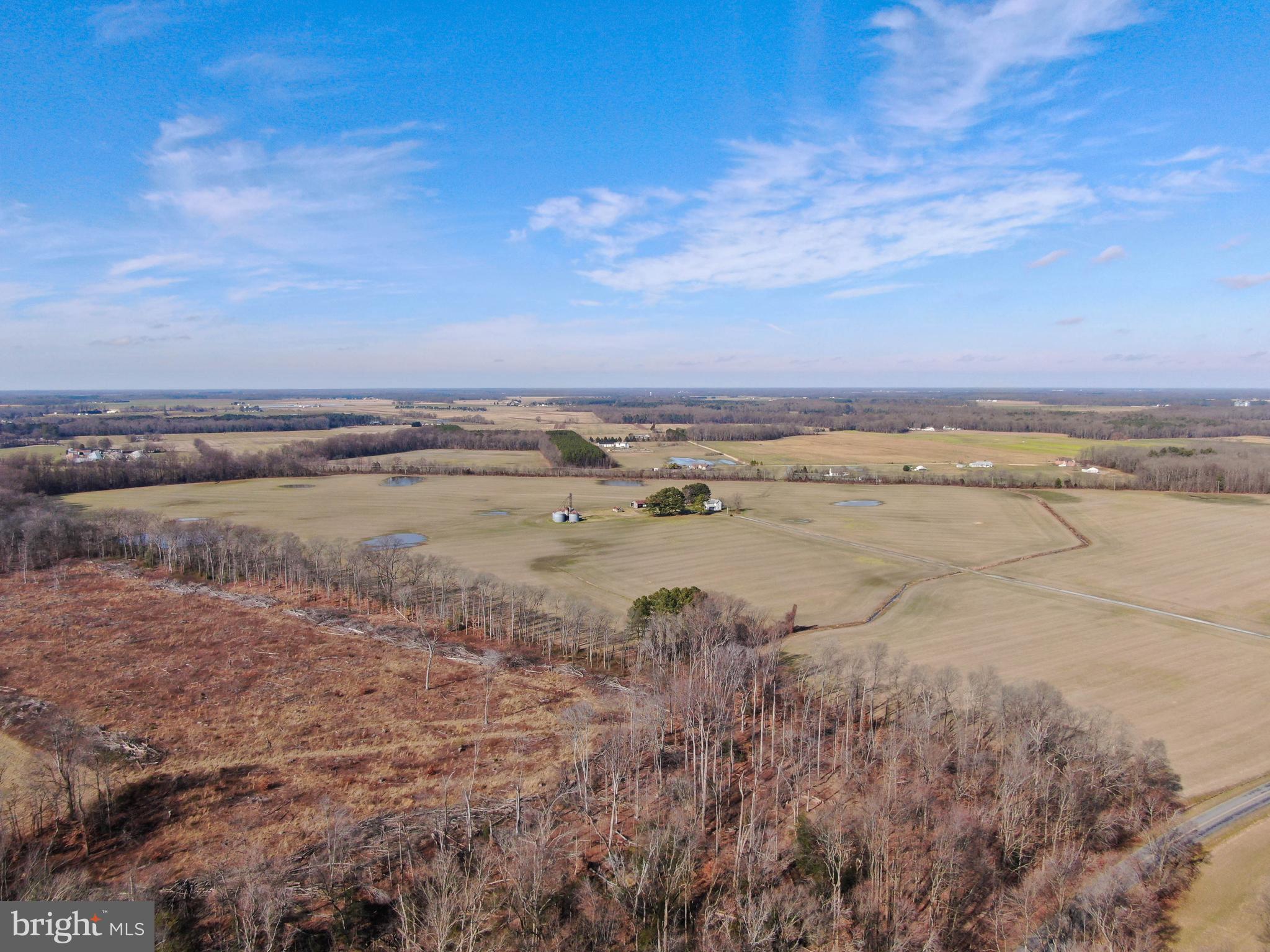 12786 Holly Road Greensboro, MD 21639 - Photo 11 of 12 Gallery Image 11