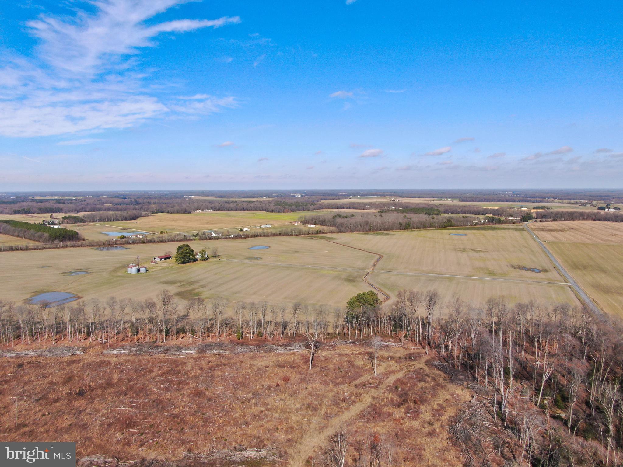 12786 Holly Road Greensboro, MD 21639 - Photo 9 of 12 Gallery Image 9