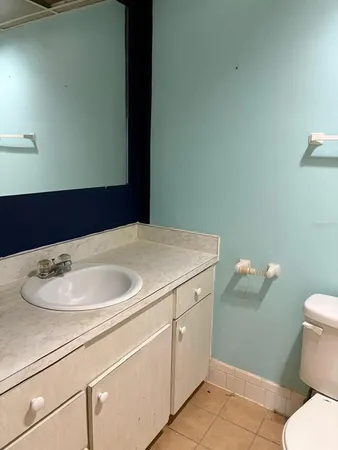 a bathroom with a sink and a toilet