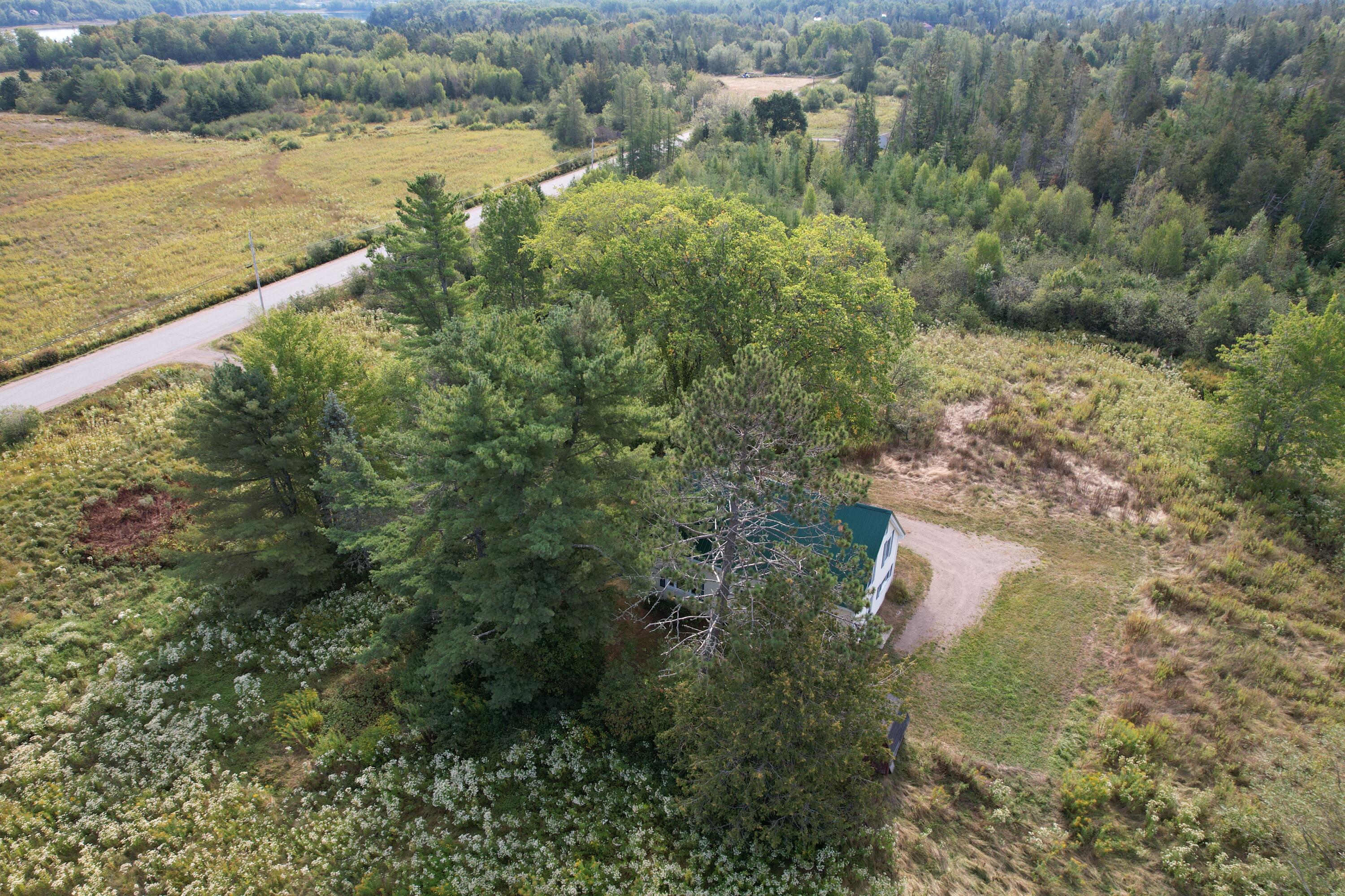 149 Old Eastport Road Perry, ME 04667 - Photo 10 of 71 DJI_0619