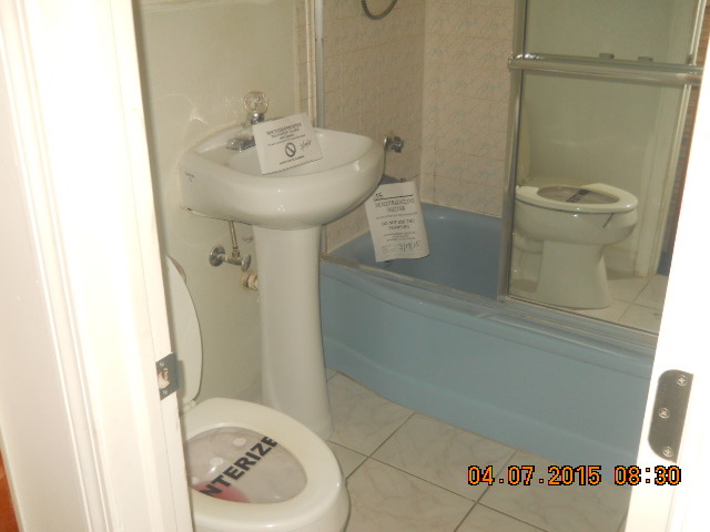 17560 Howe Avenue Homewood, IL 60430 - Photo 9 of 9 a bathroom with a sink a toilet and shower