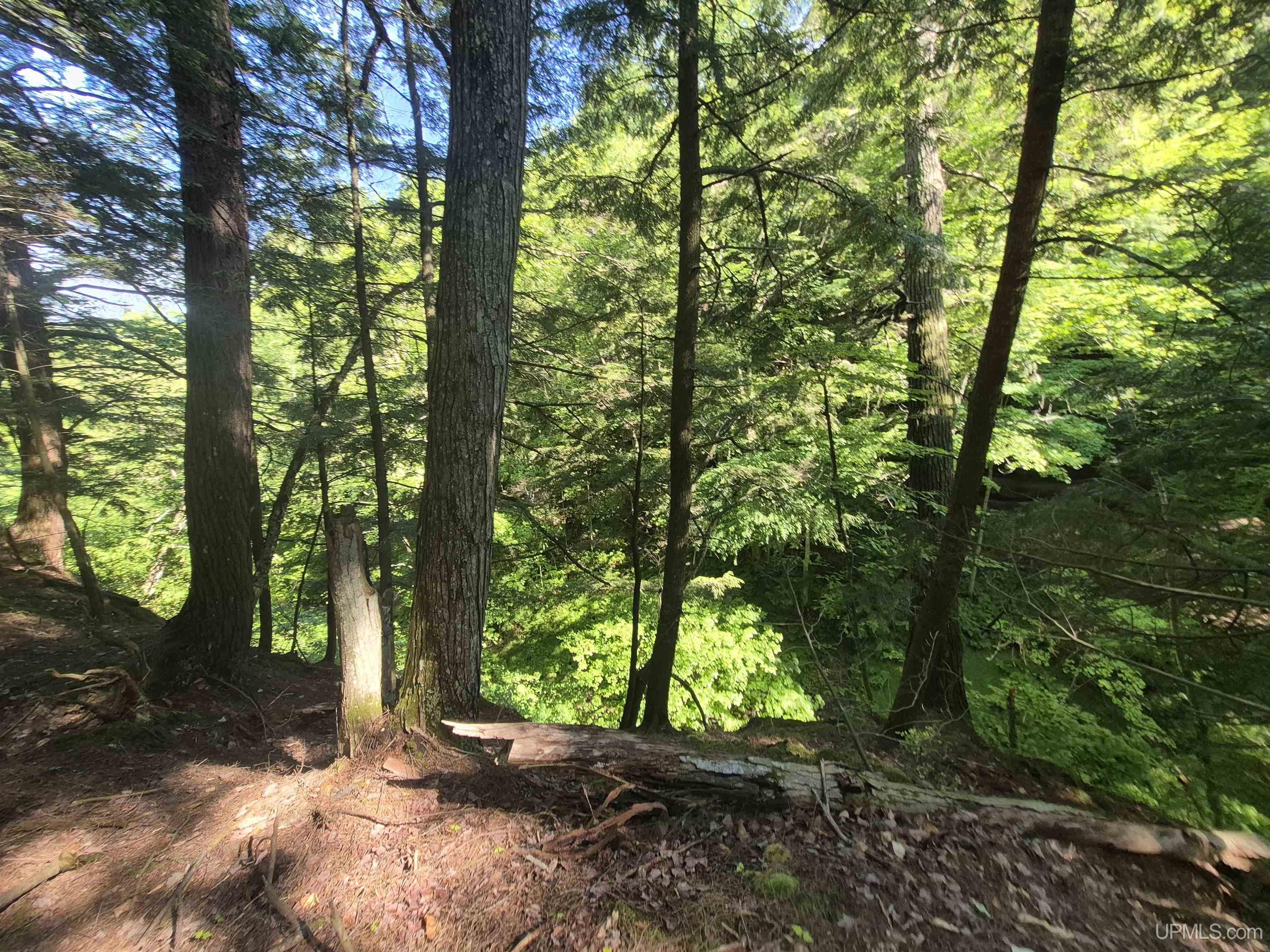 8-acres Nestor Road Munising, MI 49862 - Photo 41 of 43