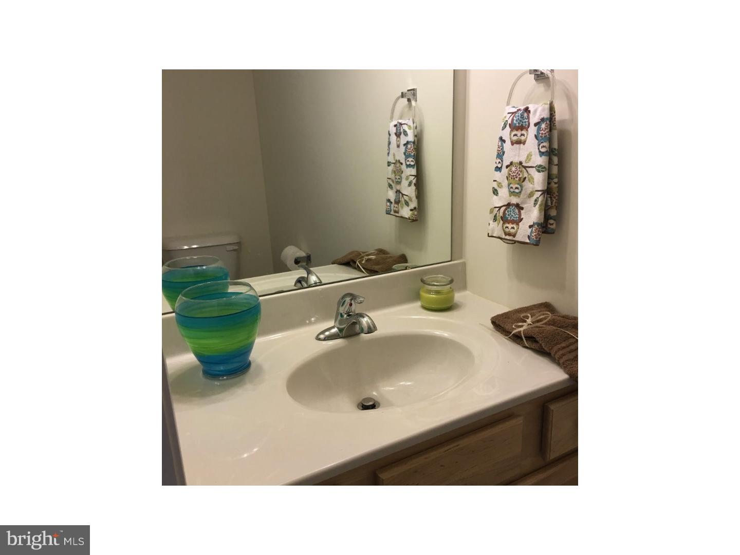 1 Tulpy View Road Womelsdorf, PA 19567 - Photo 13 of 19 Half Bath