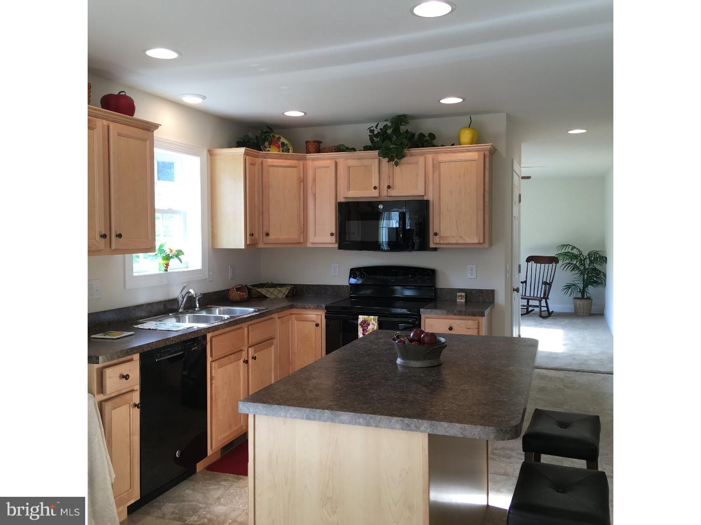 1 Tulpy View Road Womelsdorf, PA 19567 - Photo 8 of 19 Kitchen