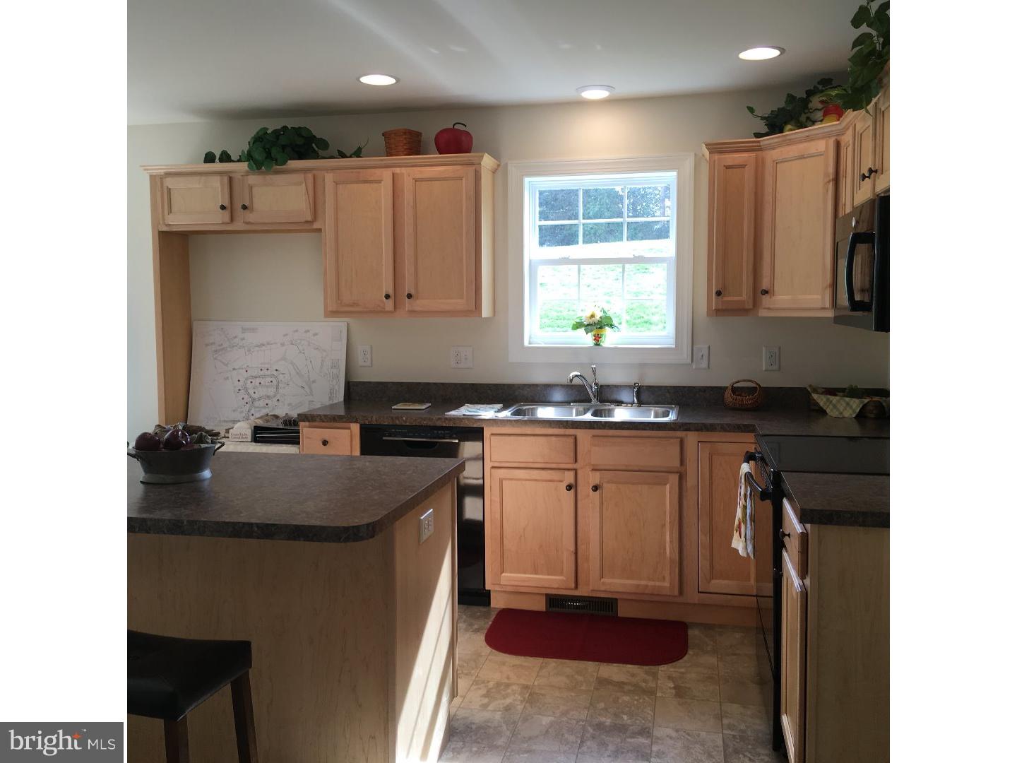 1 Tulpy View Road Womelsdorf, PA 19567 - Photo 9 of 19 Kitchen