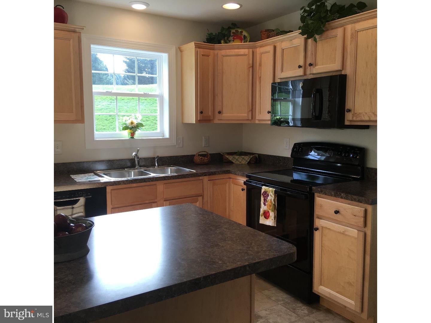 1 Tulpy View Road Womelsdorf, PA 19567 - Photo 10 of 19 Kitchen