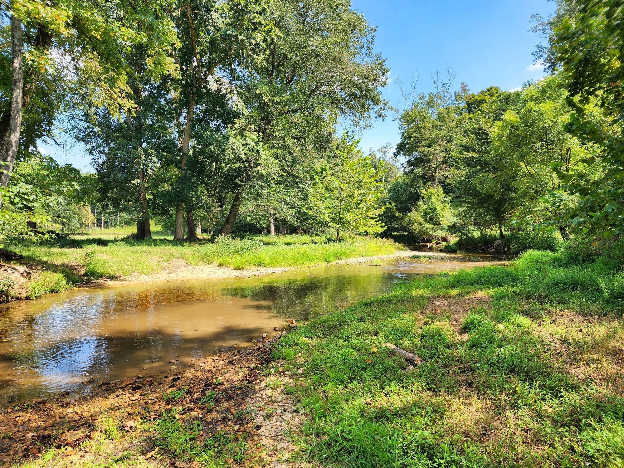 8312 Middle Butler Road Cypress Inn, TN 38452 - Photo 14 of 53 Gallery Image 14