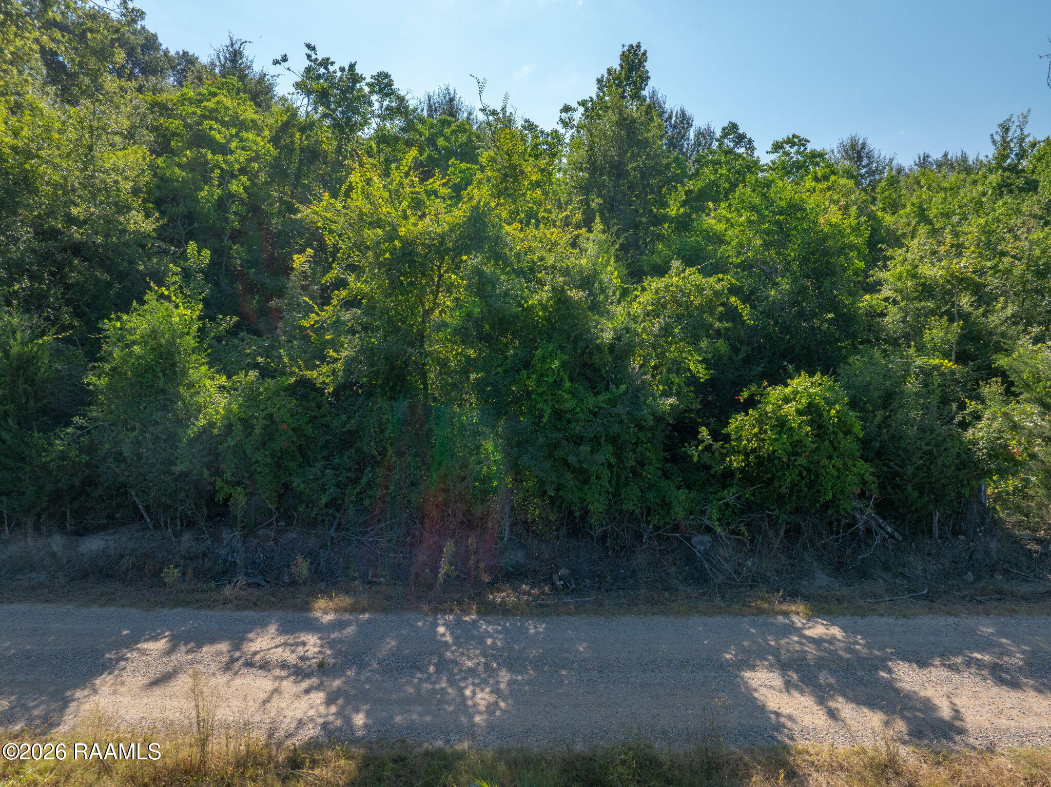 0 Heard Sylvester Road Washington, LA 70589 - Photo 11 of 12 11