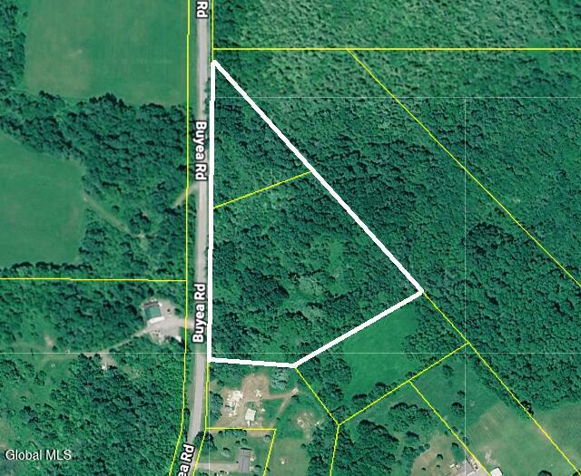 L42 Buyea Road Cazenovia, NY 13035 - Photo 24 of 24 Screenshot 2026-05-29 100320