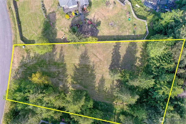 a view of a garden from a window