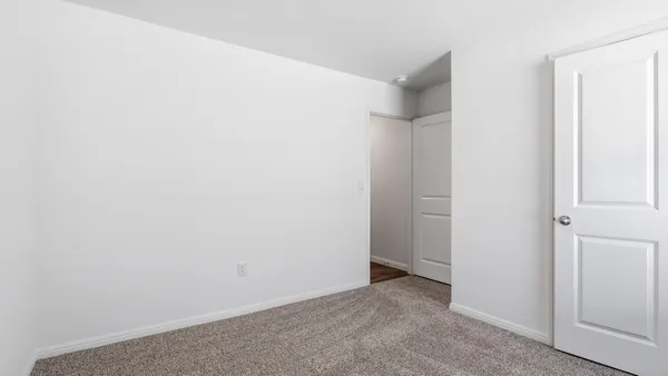a view of a backyard with a garden and plants